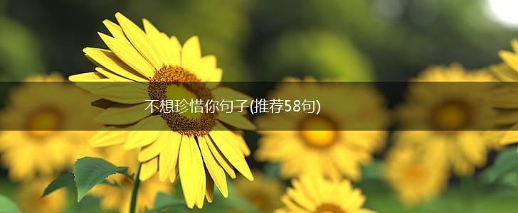 不想珍惜你句子(推荐58句),第1张