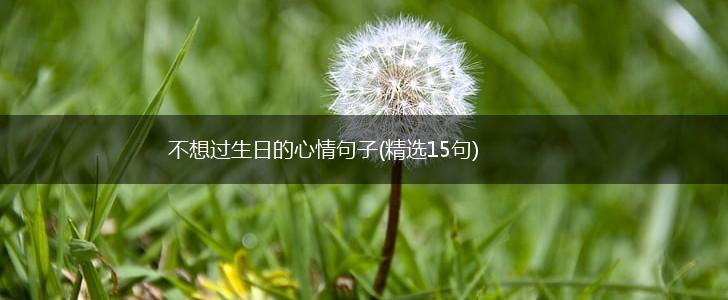 不想过生日的心情句子(精选15句),第1张