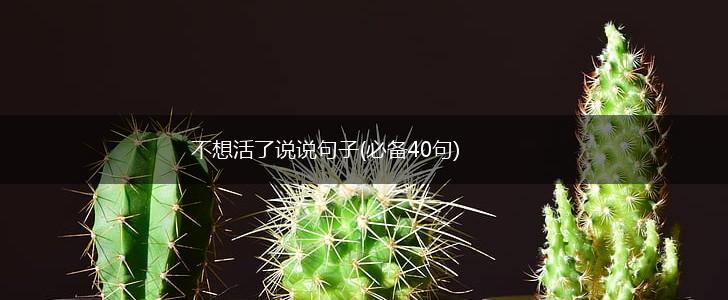 不想活了说说句子(必备40句),第1张