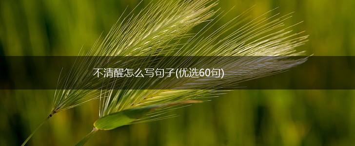 不清醒怎么写句子(优选60句),第1张