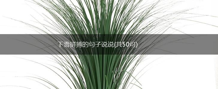 下雪拼搏的句子说说(共50句),第1张