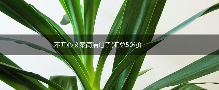不开心文案简洁句子(汇总50句),第1张