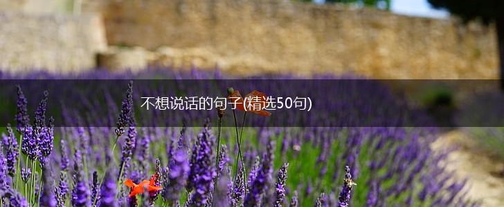 不想说话的句子(精选50句),第1张