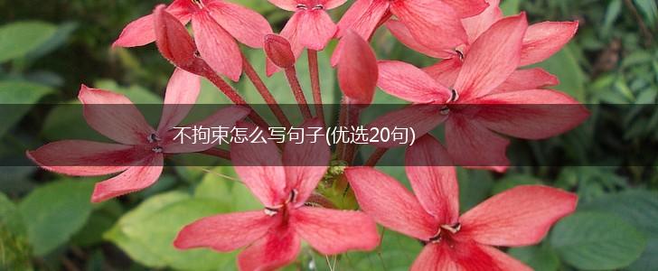 不拘束怎么写句子(优选20句),第1张