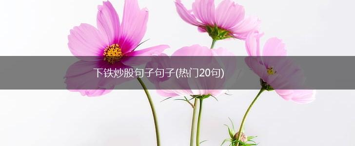 下铁炒股句子句子(热门20句),第1张