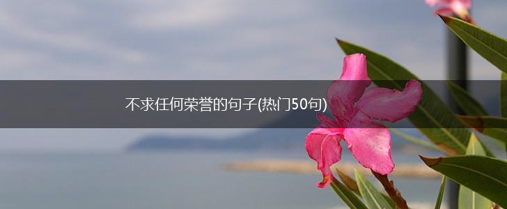 不求任何荣誉的句子(热门50句),第1张