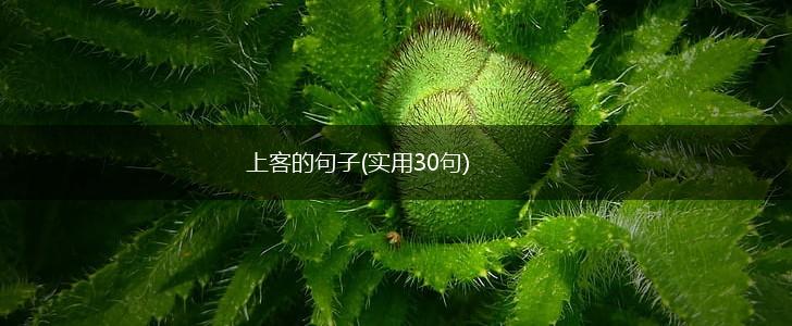 上客的句子(实用30句),第1张