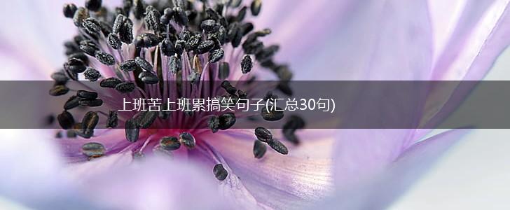 上班苦上班累搞笑句子(汇总30句),第1张