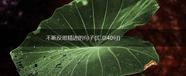 不断反思精进的句子(汇总40句),第1张