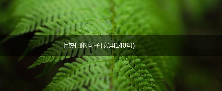 上热门的句子(实用140句),第1张