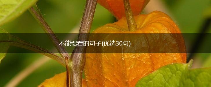 不能惯着的句子(优选30句),第1张