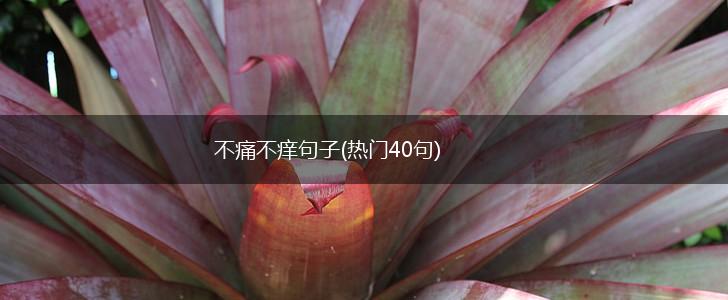 不痛不痒句子(热门40句),第1张