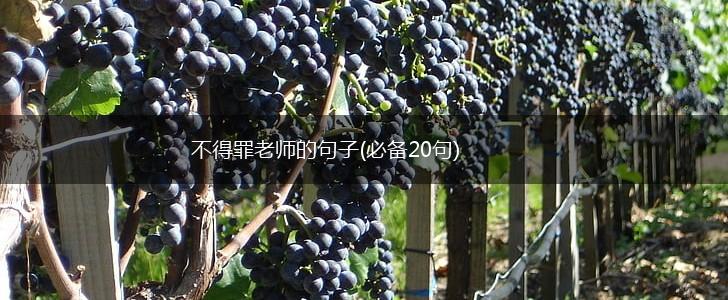 不得罪老师的句子(必备20句),第1张