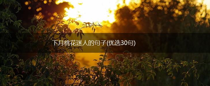 下月桃花迷人的句子(优选30句),第1张