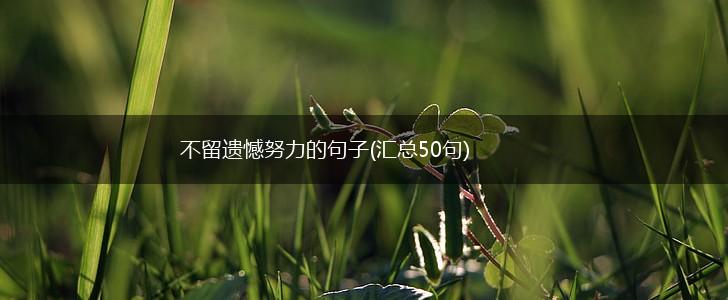 不留遗憾努力的句子(汇总50句),第1张