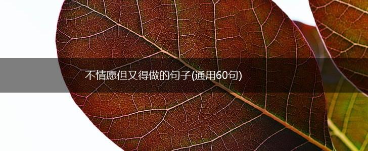 不情愿但又得做的句子(通用60句),第1张