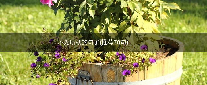 不为所动的句子(推荐70句),第1张