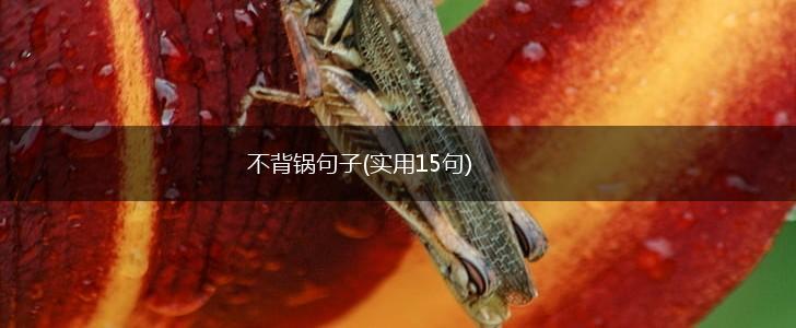 不背锅句子(实用15句),第1张