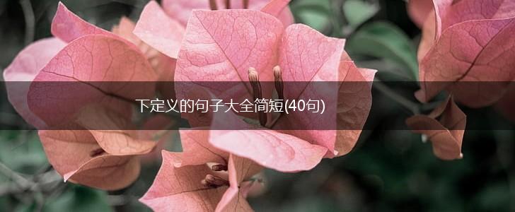 下定义的句子大全简短(40句),第1张