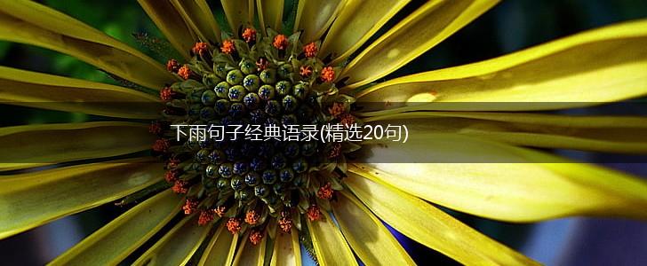 下雨句子经典语录(精选20句),第1张