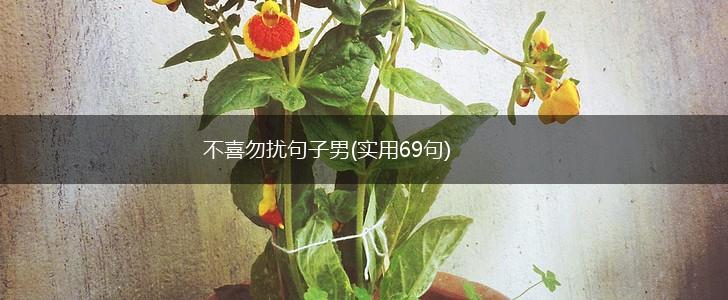 不喜勿扰句子男(实用69句),第1张