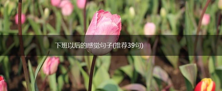 下班以后的感觉句子(推荐39句),第1张