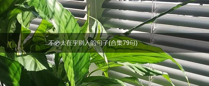 不必太在乎别人的句子(合集79句),第1张
