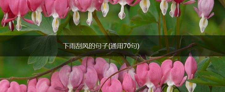 下雨刮风的句子(通用70句),第1张