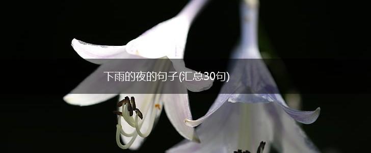 下雨的夜的句子(汇总30句),第1张