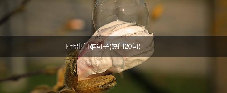 下雪出门难句子(热门20句),第1张