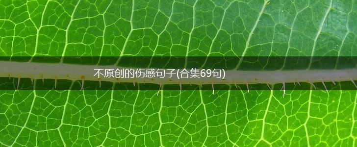 不原创的伤感句子(合集69句),第1张