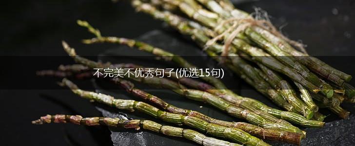 不完美不优秀句子(优选15句),第1张