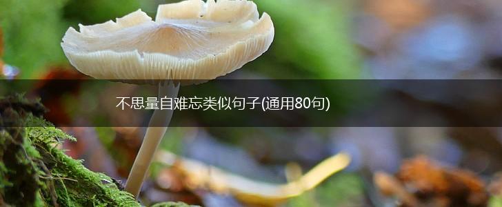 不思量自难忘类似句子(通用80句),第1张