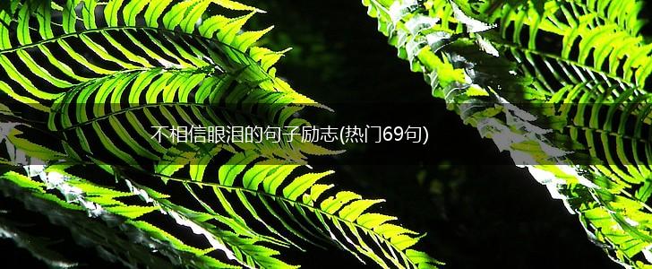 不相信眼泪的句子励志(热门69句),第1张