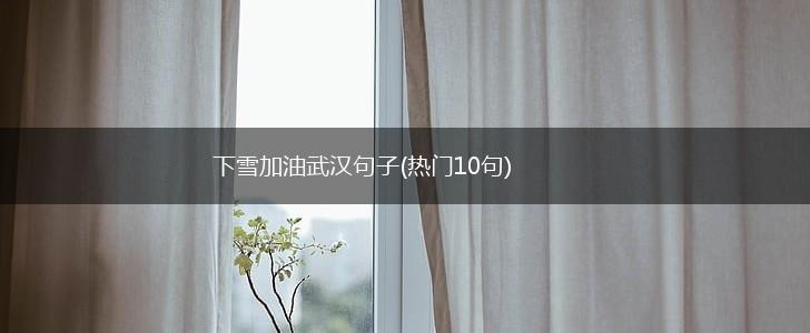 下雪加油武汉句子(热门10句),第1张