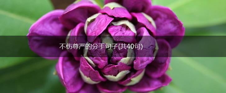 不伤尊严的分手句子(共40句),第1张