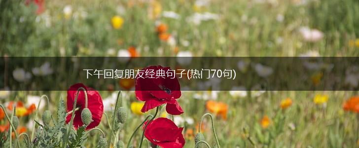 下午回复朋友经典句子(热门70句),第1张