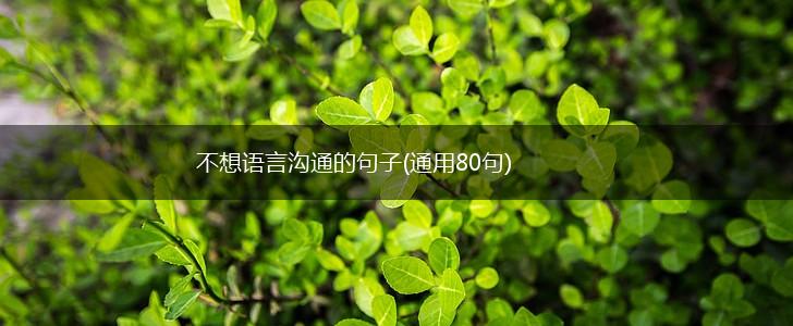 不想语言沟通的句子(通用80句),第1张