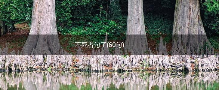 不死者句子(60句),第1张