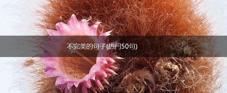 不完美的句子(热门50句),第1张