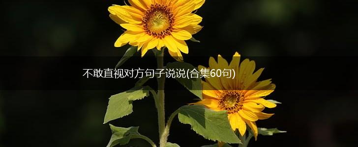 不敢直视对方句子说说(合集60句),第1张