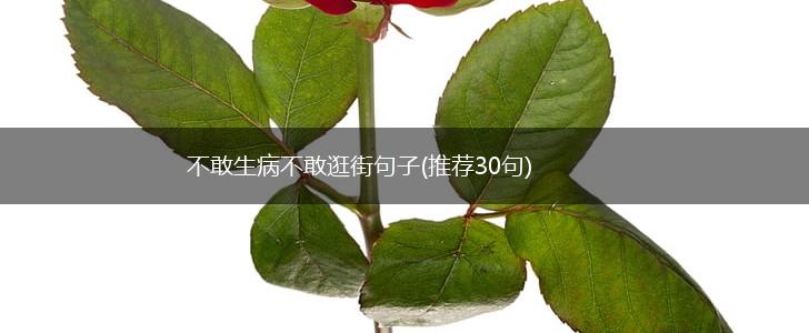 不敢生病不敢逛街句子(推荐30句),第1张