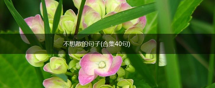 不想散的句子(合集40句),第1张