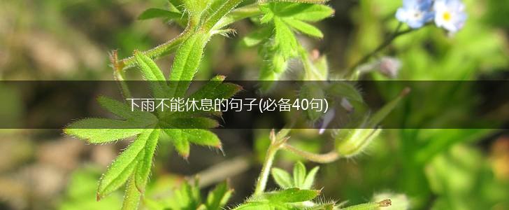下雨不能休息的句子(必备40句),第1张
