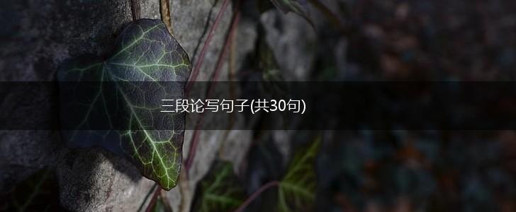 三段论写句子(共30句),第1张