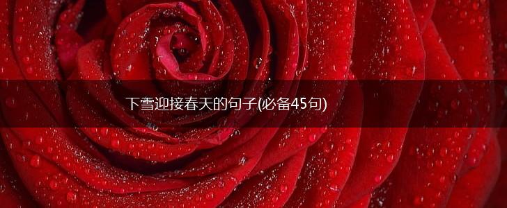 下雪迎接春天的句子(必备45句),第1张