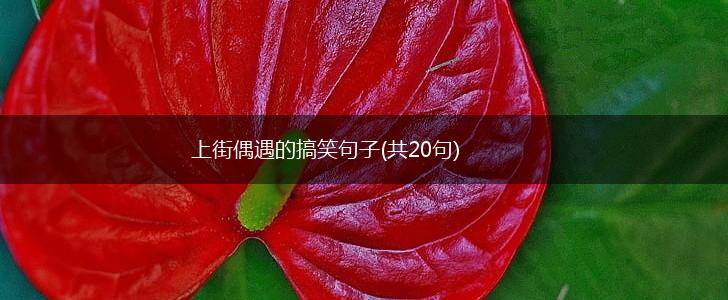 上街偶遇的搞笑句子(共20句),第1张