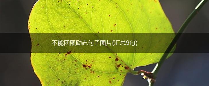 不能团聚励志句子图片(汇总9句),第1张