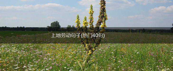 上地劳动句子(热门40句),第1张