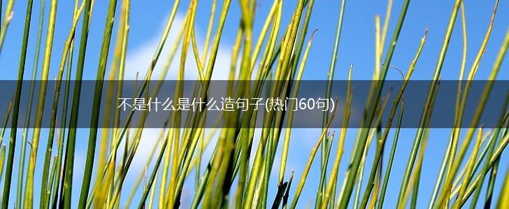 不是什么是什么造句子(热门60句),第1张